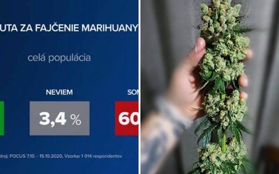 Len 1/3 ľudí podporuje miernejšie tresty za marihuanu: Najodmietavejší postoj majú voliči KDH