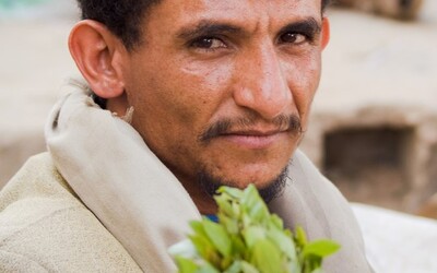 Lepší než jídlo? Jemenská droga způsobuje v zemi vážné potíže