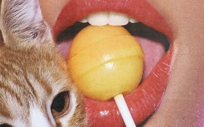 Lízátka, která podporují zdraví vagíny? Kourtney Kardashian rozjíždí nový brand