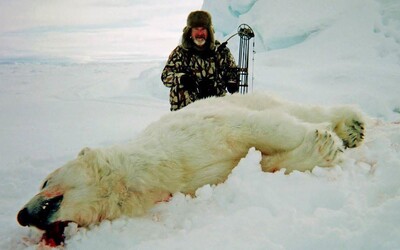 Lovcom ľadových medveďov, ktorí pózujú pred krvavými telami ohrozených zvierat, platia aj 40-tisíc eur