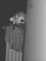 Ľudia začali veriť, že Labubu bábiky sú prekliate. Proti hoaxu zakročila aj slovenská platforma