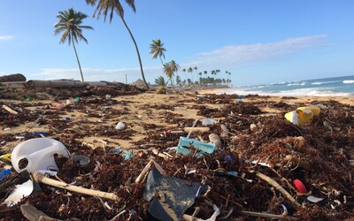 Ľudstvo vyprodukovalo od začiatku pandémie 8 miliónov ton plastového odpadu. 26-tisíc ton skončilo v oceánoch