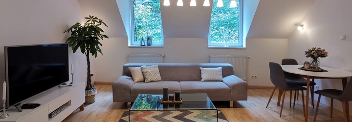 Lukáš s Adamem pronajímají byty přes Airbnb: Sexuální pracovnice jsou čistotné, byty vykrádají organizované skupiny