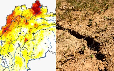 MAPA: Extrémne sucho trápi viaceré okresy Slovenska. Tieto okresy sú na tom najhoršie