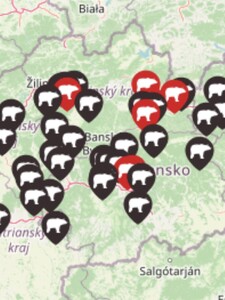 MAPA: Pozri si, kde všade tento rok na Slovensku spozorovali medveďa. Na viacerých miestach hlásili aj útoky