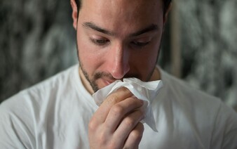 MAPA: Trápí tě alergie na pyl? Tato místa v Česku hlásí jeho mimořádnou míru