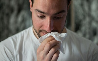 MAPA: Trápí tě alergie na pyl? Tato místa v Česku hlásí jeho mimořádnou míru
