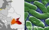 MAPA: V těchto místech se šíří nebezpečné bakterie z moře. Podívej se, kde je situace nejkritičtější