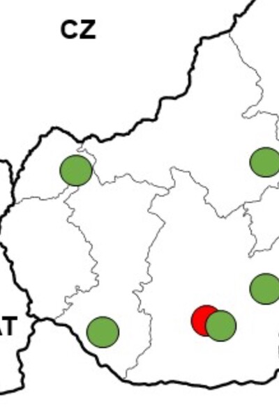 MAPA: V týchto lokalitách Slovenska zachytili infikované komáre s vírusmi Usutu a západonílskej horúčky