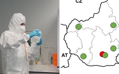 MAPA: V týchto lokalitách Slovenska zachytili infikované komáre s vírusmi Usutu a západonílskej horúčky