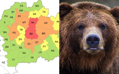 MAPA VÝSKYTU MEDVEĎOV: Lesníci priblížili, kde môžu ľudia stretnúť medveďa hnedého na Slovensku