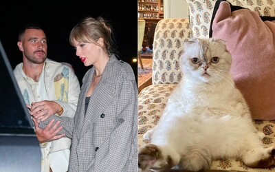Mačka Taylor Swift má údajne väčší majetok ako jej frajer a NFL hviezda Travis Kelce