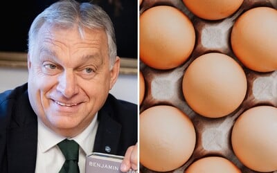 Maďari ušetria na zemiakoch a vajciach. Zastropovali im ceny