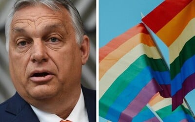 Maďarsko usporiada referendum o ochrane detí pred pedofíliou. Pýtať sa budú na ovplyvňovanie sexuality detí a mladých ľudí