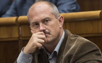 Marcový prieskum AKO: Klesajú strany SaS aj OĽaNO, Kotleba by sa do parlamentu nedostal
