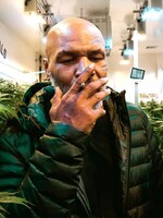 Marihuana už nebude na seznamu nejnebezpečnějších drog, rozhodlo OSN 