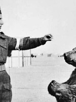 Medvěd Wojtek byl vojenským důstojníkem, nosil dělostřelecké granáty a pil pivo. Spojencům pomohl vyhrát bitvu u Monte Cassina