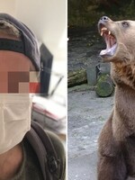 Medveď zabil trénera s nasadeným ochranným rúškom. Kvôli prekrytej tvári ho nespoznal