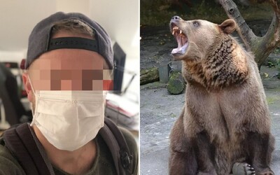 Medvěd zabil trenéra s nasazenou rouškou. Kvůli zakryté tváři ho nepoznal