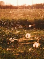 Meteorologové mají novou předpověď na září. Čeká nás prodloužené léto?