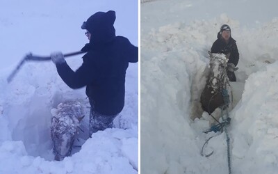 Extrémní vichřice na Islandu přinesla až dva metry sněhu. Místní museli vyhrabávat koně i dveře ke svým domům