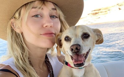 Miley Cyrus má radšej svojich psov ako bývalého manžela a priateľku, za ktorú ho vymenila