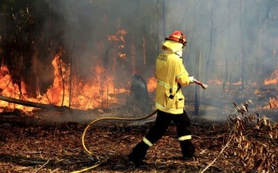 Milióny mŕtvych zvierat, tisícky zhorených domov, hustý dym a tma. Také sú požiare v Austrálii