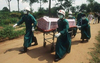 Mimoriadne smrteľný vírus marburg prvýkrát zabíjal v západnej Afrike. Medzi príznaky patrí aj krvácanie z rôznych otvorov