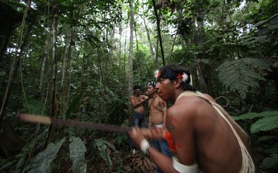 Mladá žena z kmene v Amazonii se nakazila koronavirem. O život by mohly přijít tisíce domorodců 