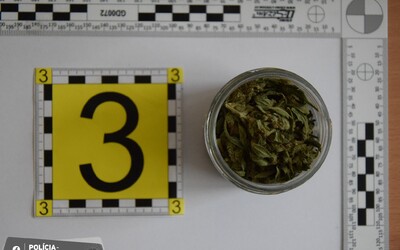 Mladému Rožňavčanovi hrozí 15-ročné väzenie za pár gramov marihuany. Sušinu si dal opakovane posielať kuriérom