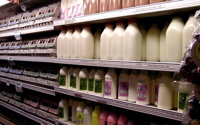 Mliečne výrobky zdražejú o 10 %. Slovenské mliekarne sú pod tlakom, ceny zvýšili choroby v chovoch a nižšie výkupné