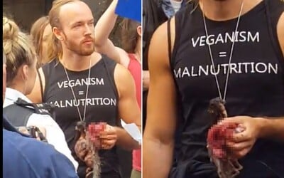 Muž jedol surovú mŕtvu veveričku na vegánskom festivale. Policajti ho kvôli tomu zatkli