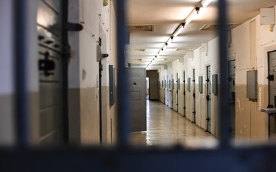 Muž, který zneužil desítky dětí, je zpět ve vězení. Stahoval porno