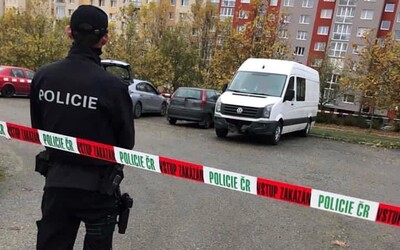 Muž na Plzeňsku zastřelil zloděje se sekerou. Policie případ odložila, jednalo se o nutnou sebeobranu