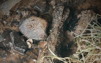 Muž našiel pod mostom mínu z 2. svetovej vojny. Okamžite privolal políciu