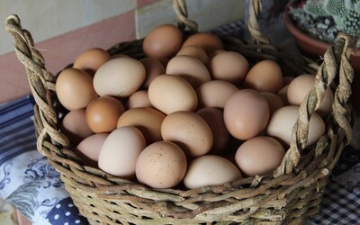 Muž sa stavil o 25 eur, že zvládne zjesť päťdesiat vajec. Keď dojedol 41., skolaboval a zomrel