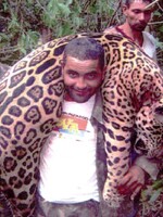 Muž zabil viac než 1 000 jaguárov. Polícia hackla jeho komunikáciu s pytliakmi