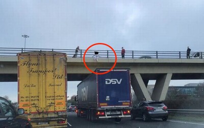 Muž zachránil dívku, která chtěla skočit z mostu. Zastavil pod ním se svým kamionem