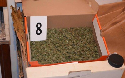 Mužovi z Galanty hrozí 15 rokov vo väzení za držanie minimálne 834 jednorazových dávok marihuany