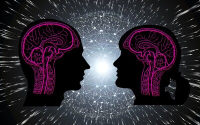 Mužský vs ženský mozog: má vôbec mozog pohlavie?