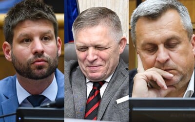 NAJNOVŠÍ PRIESKUM: Progresívne Slovensko je favoritom, Smer zaznamenáva prepad. SNS skončila na chvoste preferencií