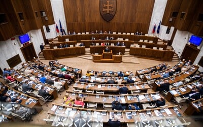 NR SR odmieta odsúdenie Ruska za násilné činy na deťoch. Uznesenie prišlo z dielne PS