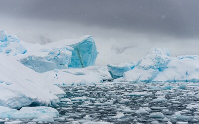 Na Antarktidě padl nový teplotní rekord. Polární oblast se ohřála o 40 °C