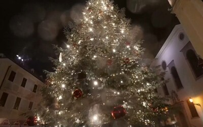 Na Hlavnom námestí v Bratislave už svieti vianočný stromček. Trhy okolo neho tento rok opäť nebudú