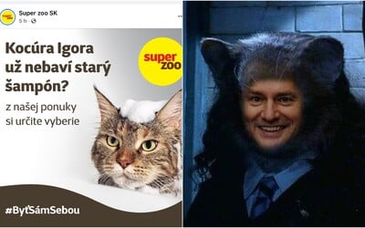 Na Matovičov šampón pre mačky zareagoval vtipnou reklamou aj slovenský zverimex. Toto sú najlepšie memečka