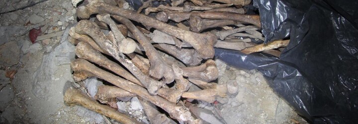 Na Písecku byly nalezeny další lidské kosti. Policisté našli tři pytle ostatků horních a dolních končetin