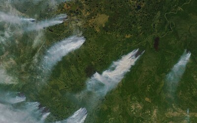 Na Sibiři znovu hoří více než 1 milion hektarů lesa. Ruské úřady se ale rozhodly plameny nehasit