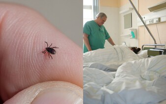 Na Slovensku narastá výskyt kliešťovej encefalitídy. Tieto oblasti sú najrizikovejšie
