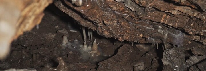 Na Slovensku objavili novú nezvyčajnú jaskyňu. Našli ju počas stavby diaľnice D1