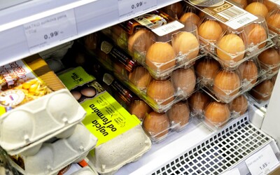 Na Slovensku odhalili predaj potravín po dátume spotreby aj nedostatočnú hygienu. Inšpektori rozdali vysoké pokuty